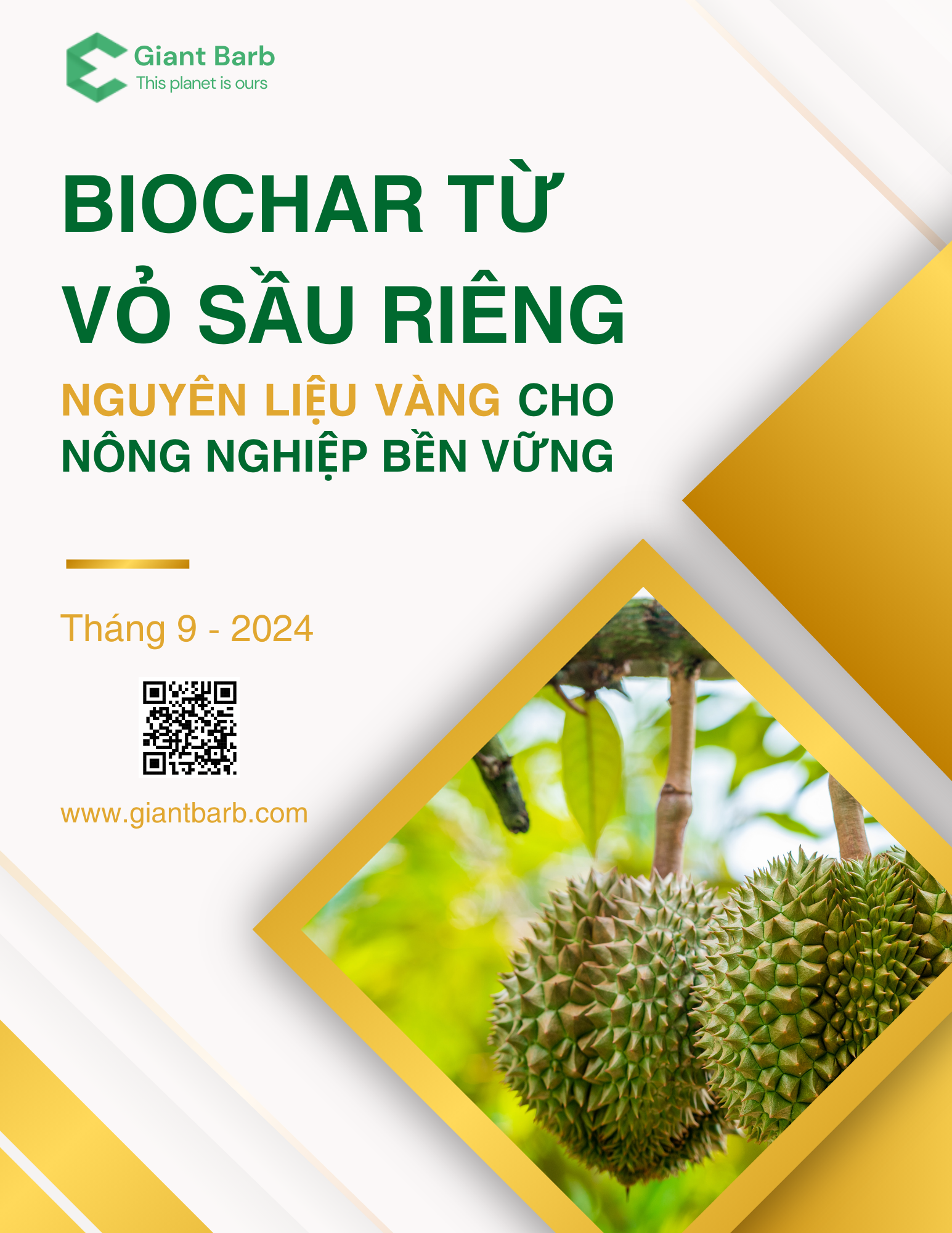 Biochar từ vỏ sầu riêng - Nguyên liệu vàng cho nông nghiệp bền vững